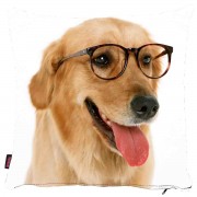 Köpekli Yastık Kılıfı